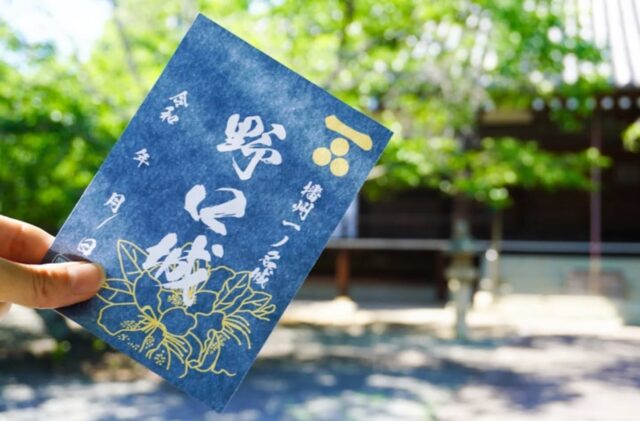 ＼新しい御城印を持って城跡を巡ろうvol.2「野口城」へ！／

前回に続き今回ご紹介するのは「 三木合戦 」にゆかりのある三木城の支城「 野口城(のぐちじょう) 」🏯
野口城は「 別所長治記 」では「 播州一ノ名城 」と記され、羽柴秀吉が播磨攻めの重要拠点と見ていたとの言い伝えがあります💁
野口城があったとされる付近には、野口神社や教信寺、賀古駅家（かこのうまや）跡など歴史ある場所がたくさんあります😲

市指定文化財である教信寺の境内は、四季折々の木々に彩られており、そこら中が「 御城印フォトスポット 」📷
春は桜、夏は新緑、秋は紅葉と、移ろう景色の中で撮る一枚は格別✨
深い藍色と金色の御城印が映え、歴史ある佇まいとともに趣ある写真が残せるはずです😘

今回ご紹介した御城印は、加古川観光協会（加古川プラザホテル1階）で購入することができます🙆
紺色の大礼紙に市花の「つつじ」をあしらった、高級感あふれる新デザインの御城印を片手に、城跡巡りを楽しんでみてはいかがでしょうか？

🏯今回のフォトスポット【 教信寺 】
兵庫県加古川市野口町野口326
電話番号 / 079-422-4352 
🚗 加古川バイパス「 加古川IC 」より車で約10分
🚶‍♀️JR「 東加古川 」より徒歩で約24分
🚌 神姫バス「 野口 」下車徒歩約5分
🅿 あり

- - - - - - - - - ✂ - - - - - - - - -

加古川市のおでかけスポットは
@tabitabi_kakogawa
プロフィールのURLからチェック ✅

- - - - - - - - - ✂ - - - - - - - - -

#たびたび加古川 #野口城 #教信寺 
#加古川城跡 #御城印 #御城印巡り #加古川フォトスポット
#加古川市 #加古川 #城巡り #兵庫おでかけ #加古川おでかけ
#kakogawa #kakogawacity #かこがわ