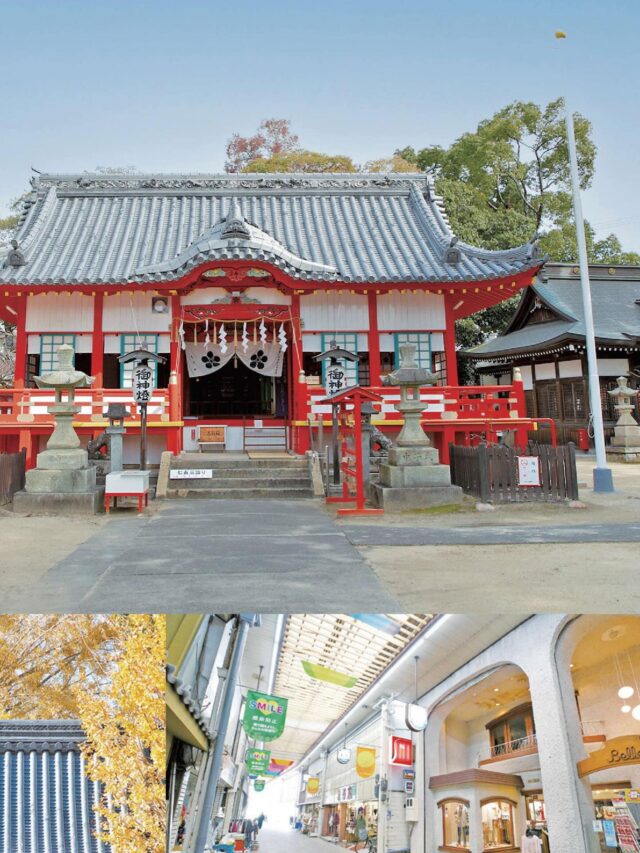 プロフィール画面を見てね！全体像が見れます✨
 
＼✨参加無料✨わがまち再発見！／
📱加古川デジタルBINGOスタンプラリー開催🚩

こんにちは！加古川観光協会です😊
12月20日(土)より、スマホひとつで楽しめる新しいスタンプラリーがスタートします！
加古川駅周辺の「知ってるけど行ったことないかも？」なスポットを巡って、BINGOを揃えよう！
アプリのダウンロードは不要🙅‍♀️
専用サイトにアクセスするだけで簡単に参加できます✨

🎁 豪華賞品が当たるチャンス！
🥩 コンプリート賞： 加古川和牛（1万円相当）
🛍 3 BINGO賞： 加古川特産品（3,500円相当）
📛 1 BINGO賞： オリジナル缶バッジ（先着300名様）
※缶バッジのデザインはシークレット！

🗓️ 開催期間
2025年12月20日(土) 〜 2026年2月22日(日)

📍 エリア
加古川観光案内所を含むJR加古川駅周辺の9スポット

寒くなってきましたが、ゲーム感覚で街歩きを楽しみながら、ポカポカ温まりませんか？🚶‍♂️💨
皆様のご参加をお待ちしております！

👇詳細はプロフィール（ @tabitabi_kakogawa ）のリンクからチェック！

#加古川 #加古川市 #加古川観光協会 #スタンプラリー #デジタルスタンプラリー #加古川イベント #兵庫観光 #加古川和牛 #かこのちゃん #街歩き #BINGO #無料イベント