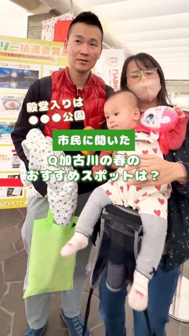 ＼ 加古川市民まちかどインタビュー🎤✨ ／

加古川の魅力を、市民のみなさんと一緒に再発見する【 #ええとこ加古川 】シリーズ🙌
今回はまちなかで、さまざまな年代の方に
「 加古川市内の春のおすすめスポット 」と
「 行楽に持っていきたいグルメ 」をお聞きしました🌸🍱💬

「 子どもと遊べる遊具が豊富！ 」
「 桜がきれい❣️ 」

・・などなど、地元の方にとって身近な“春のおでかけスポット”がたくさん登場しました😳✨
また、グルメについての質問でも、ハンバーガーやスイーツなど、
“リアルな推しグルメ”がたくさん挙がりました👏

今回ご紹介できたのはほんの一部💁‍♀️
動画に入りきらなかったおすすめ店や加古川の“ええとこ”も、今後随時ご紹介していきます！
あなたの“推し”も、ぜひコメントで教えてください👀💕

当アカウント「 #たびたび加古川 」では、身近なまちの魅力を発信中！
ぜひフォローしておでかけのヒントにご活用ください😉✨

#たびたび加古川 #ええとこ加古川
#加古川グルメ 加古川市 加古川観光